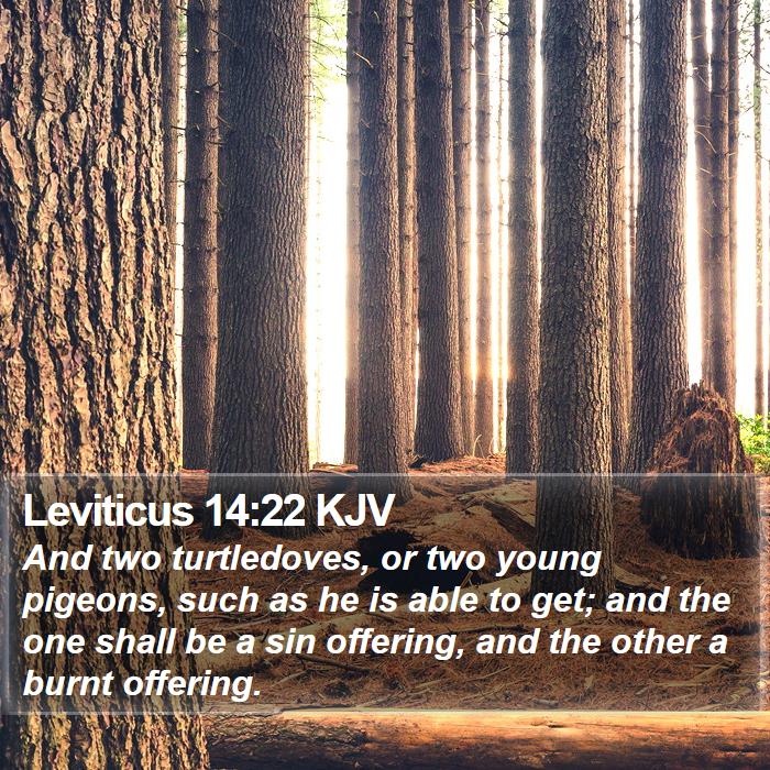 Leviticus 14:22 KJV Bible Study