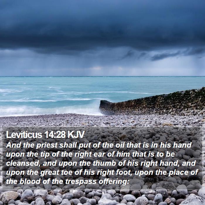 Leviticus 14:28 KJV Bible Study