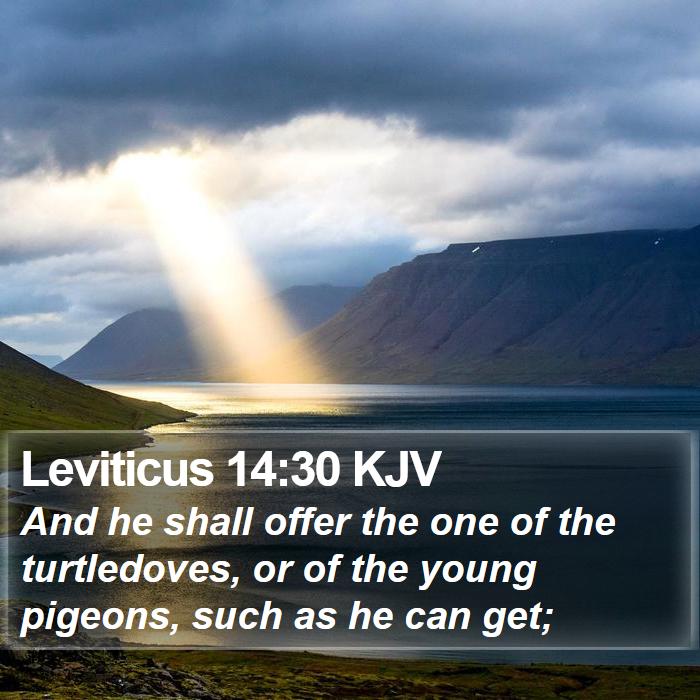 Leviticus 14:30 KJV Bible Study