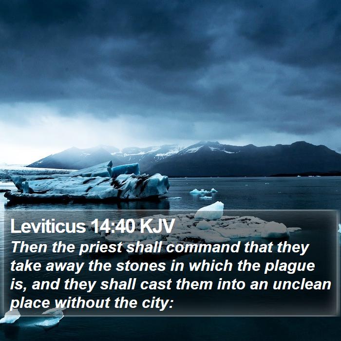 Leviticus 14:40 KJV Bible Study