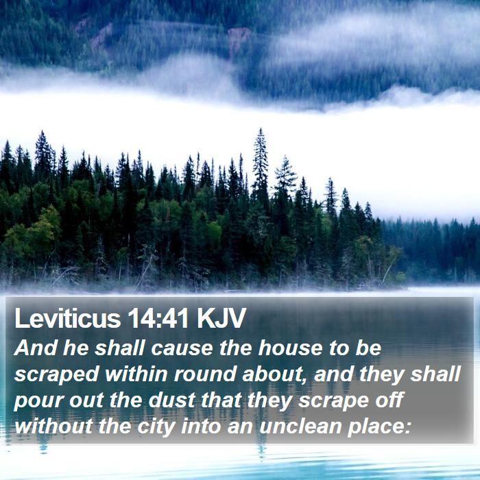 Leviticus 14:41 KJV Bible Study