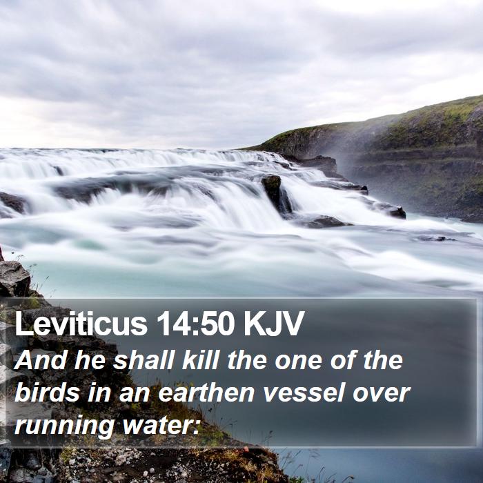 Leviticus 14:50 KJV Bible Study