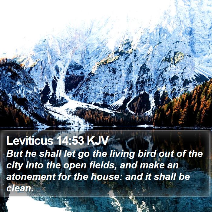 Leviticus 14:53 KJV Bible Study