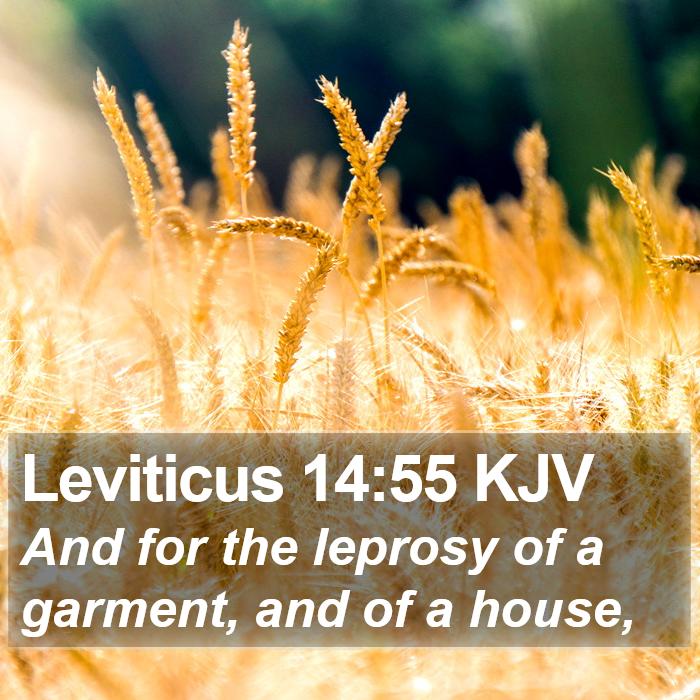 Leviticus 14:55 KJV Bible Study