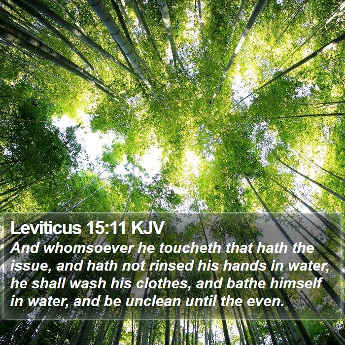 Leviticus 15:11 KJV Bible Study