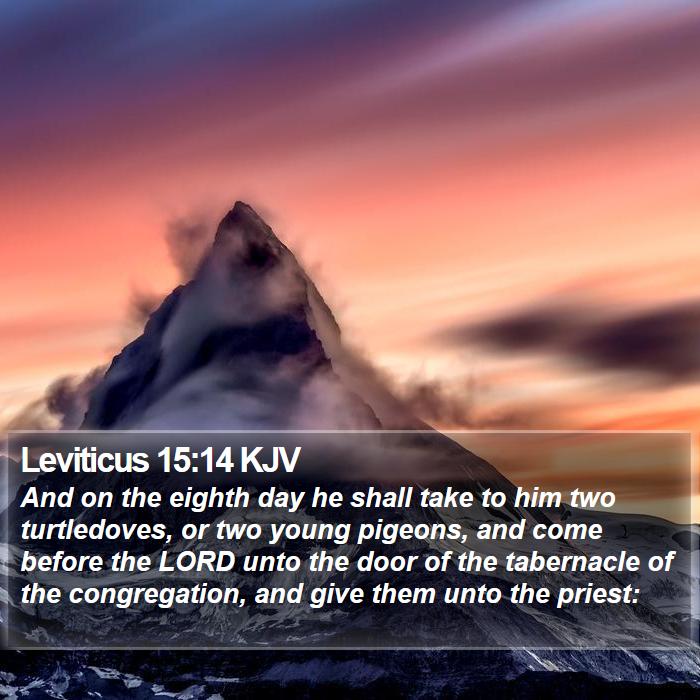 Leviticus 15:14 KJV Bible Study