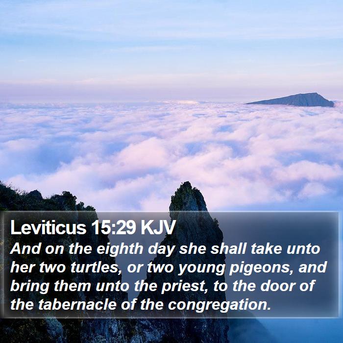 Leviticus 15:29 KJV Bible Study