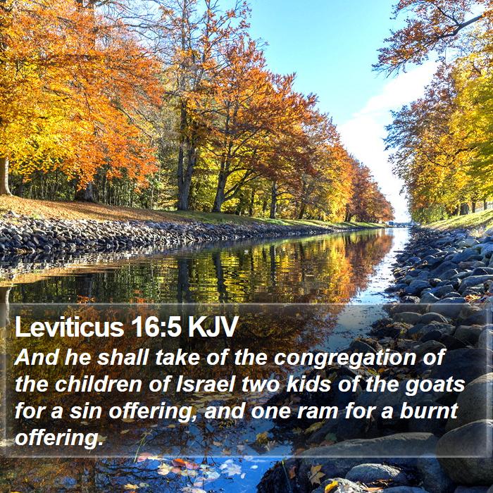 Leviticus 16:5 KJV Bible Study