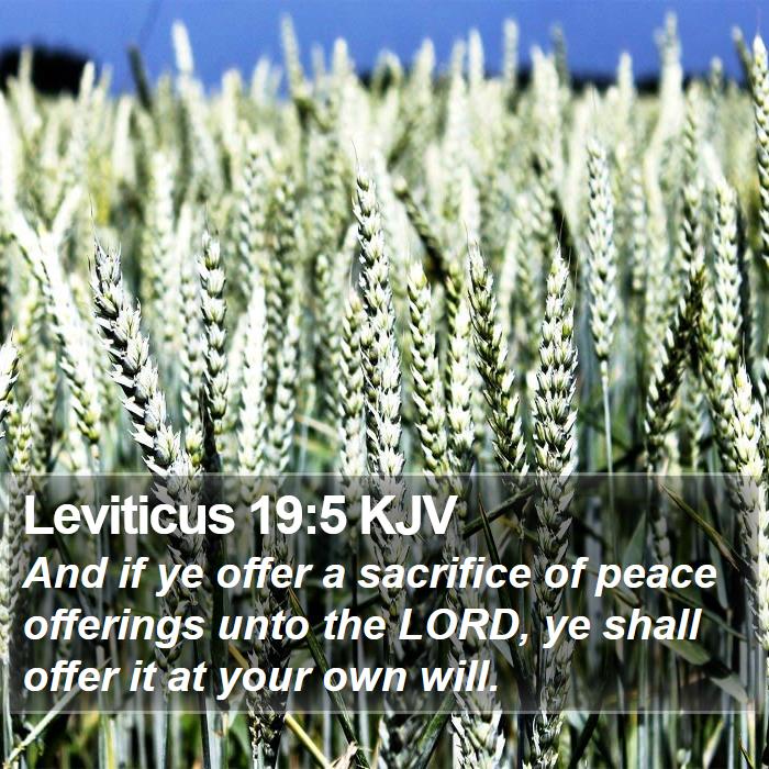 Leviticus 19:5 KJV Bible Study