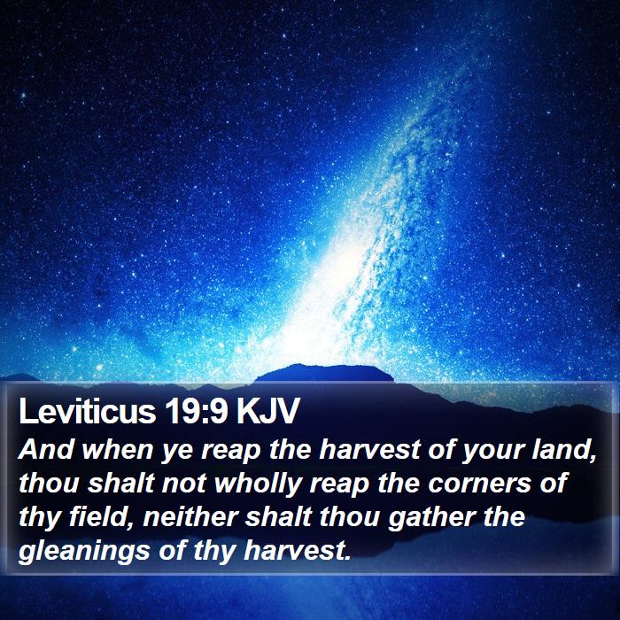 Leviticus 19:9 KJV Bible Study