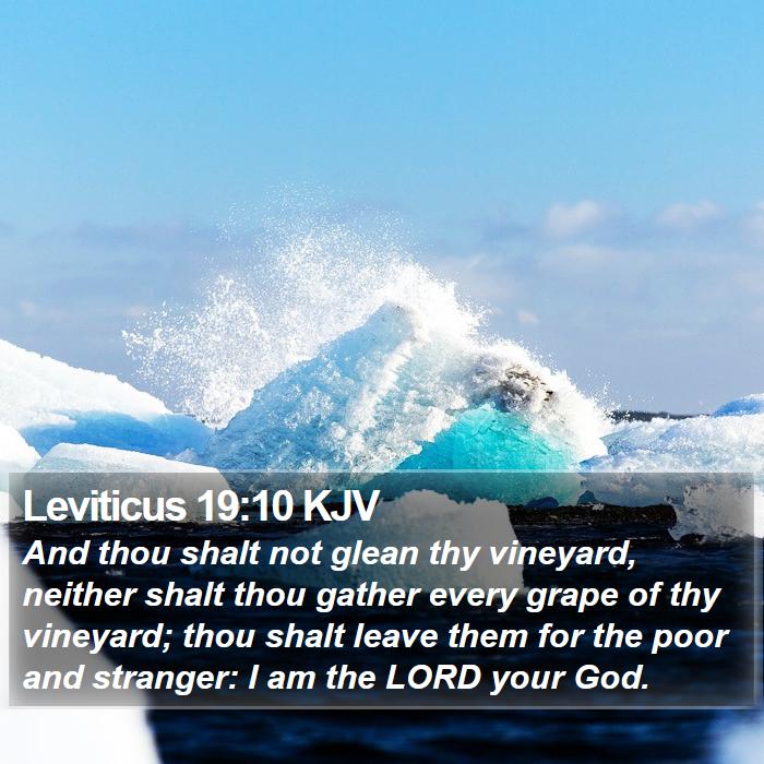 Leviticus 19:10 KJV Bible Study