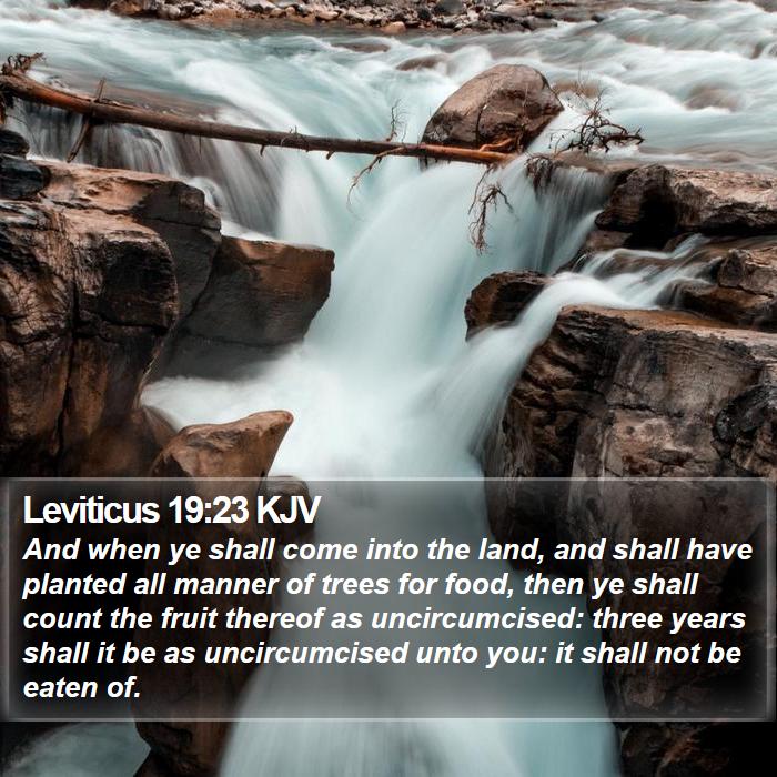 Leviticus 19:23 KJV Bible Study