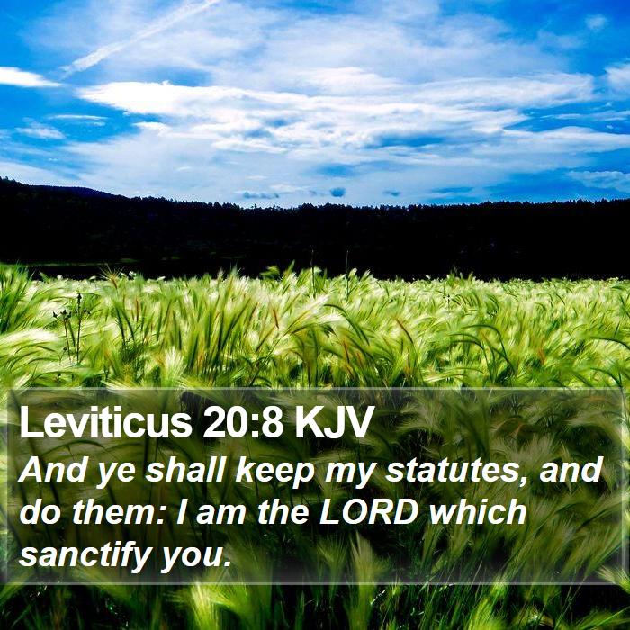 Leviticus 20:8 KJV Bible Study