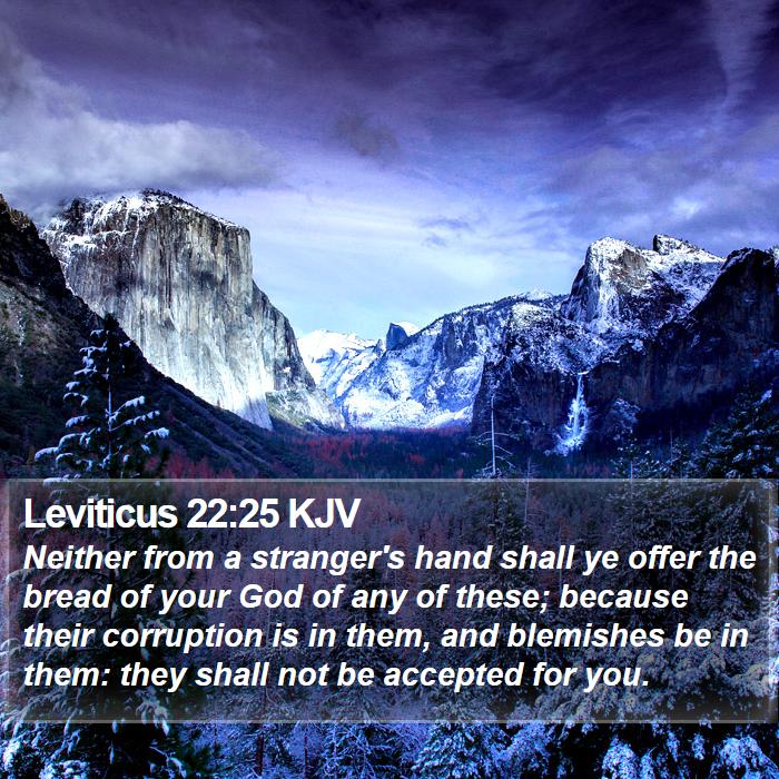 Leviticus 22:25 KJV Bible Study