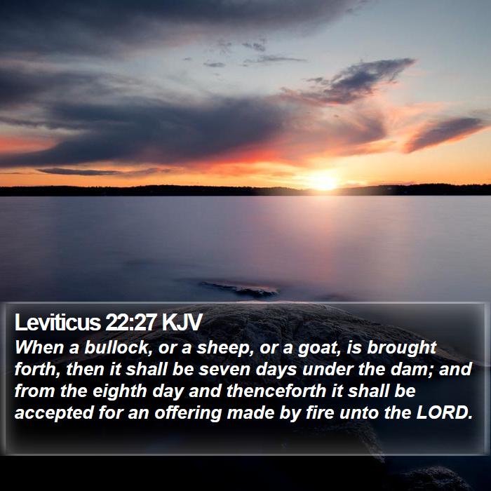 Leviticus 22:27 KJV Bible Study