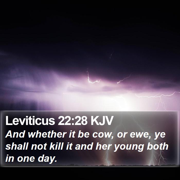 Leviticus 22:28 KJV Bible Study