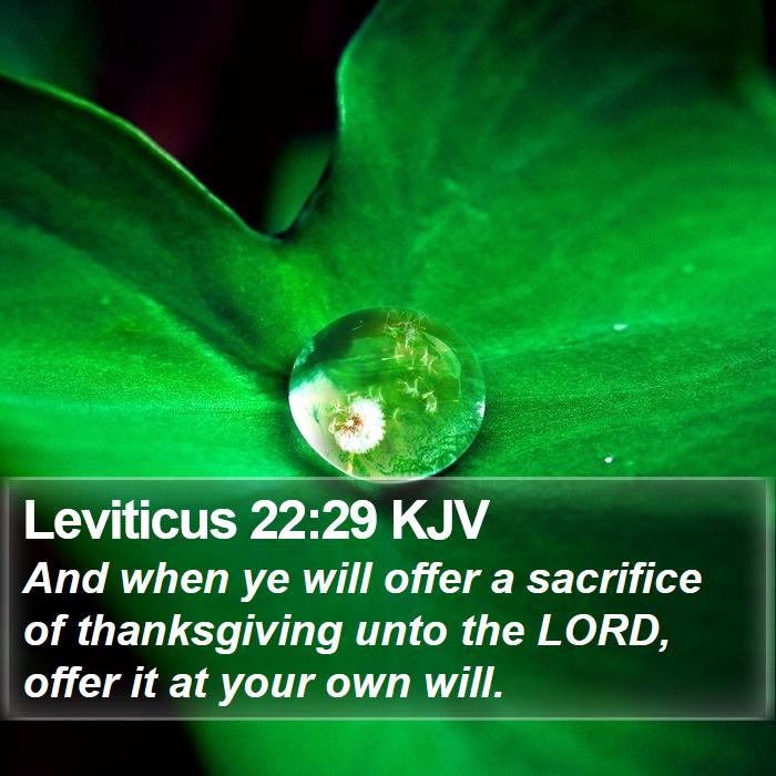 Leviticus 22:29 KJV Bible Study