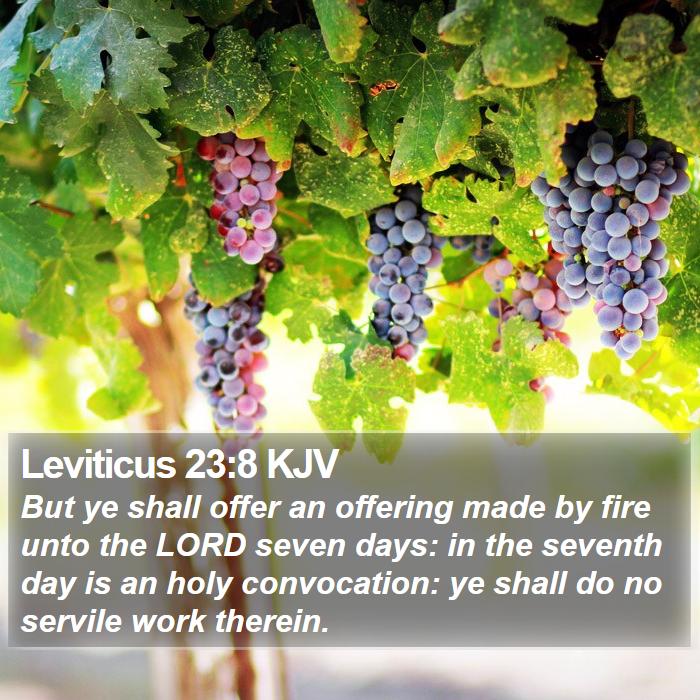 Leviticus 23:8 KJV Bible Study