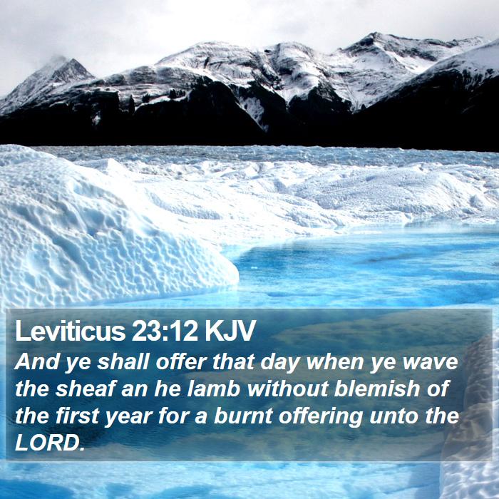 Leviticus 23:12 KJV Bible Study