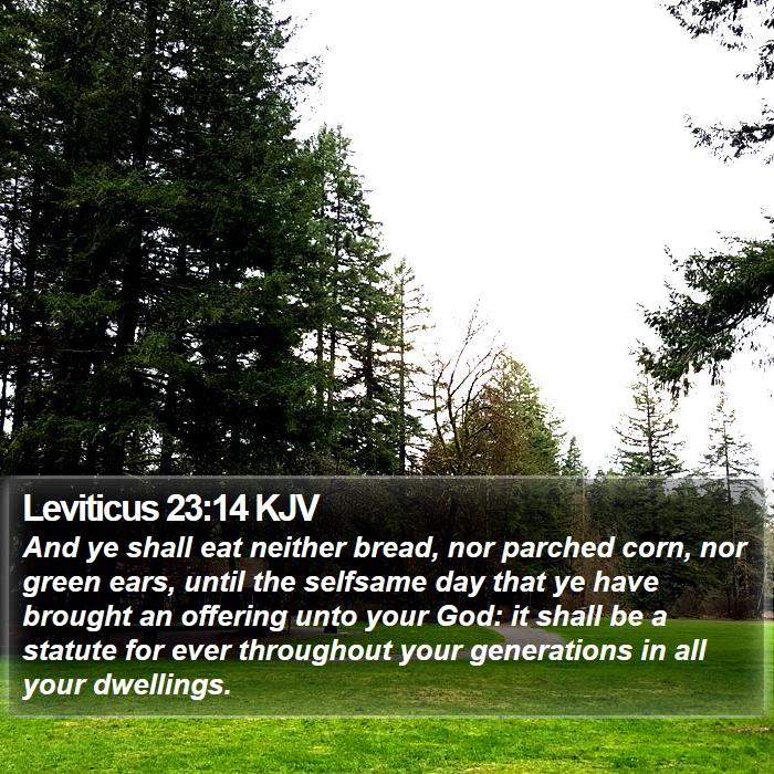 Leviticus 23:14 KJV Bible Study