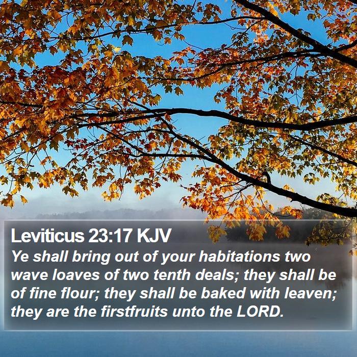 Leviticus 23:17 KJV Bible Study