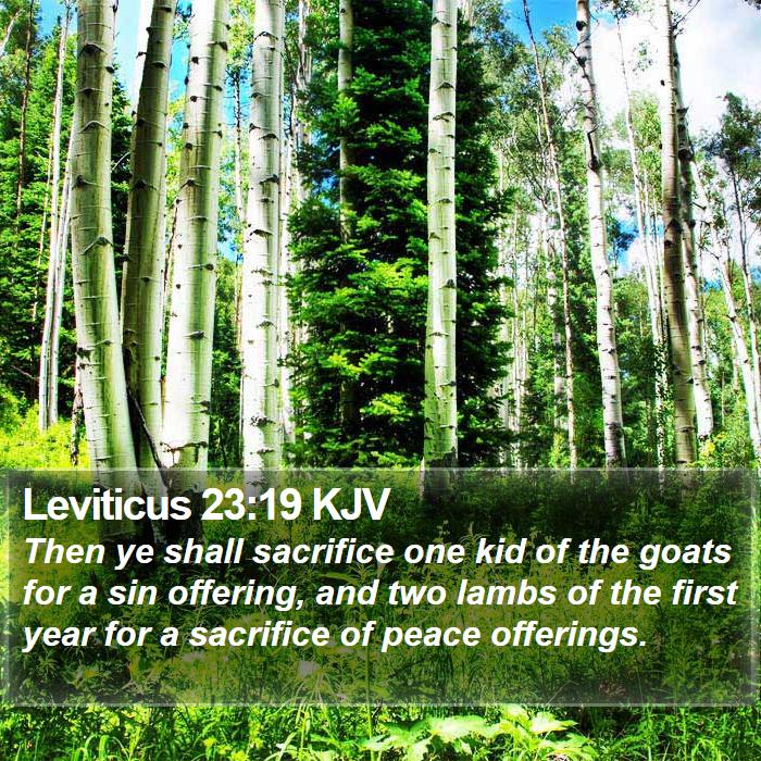 Leviticus 23:19 KJV Bible Study