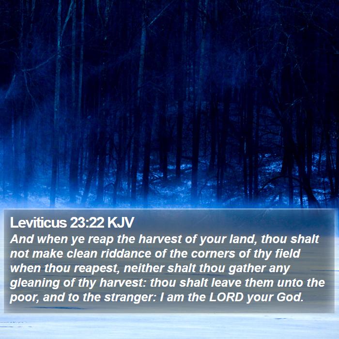 Leviticus 23:22 KJV Bible Study