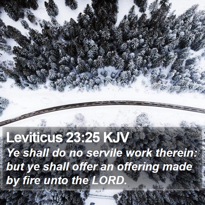 Leviticus 23:25 KJV Bible Study