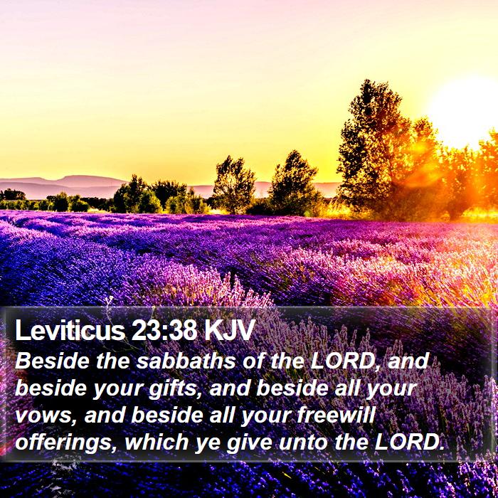 Leviticus 23:38 KJV Bible Study