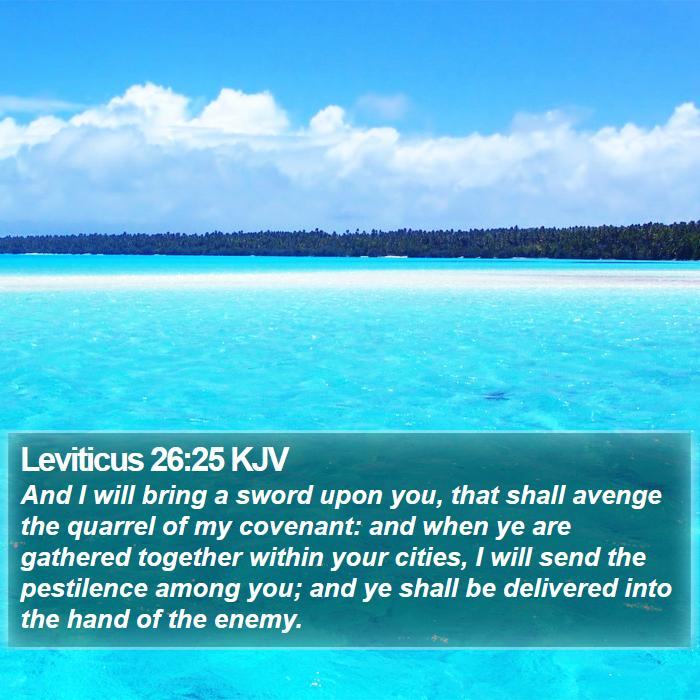 Leviticus 26:25 KJV Bible Study