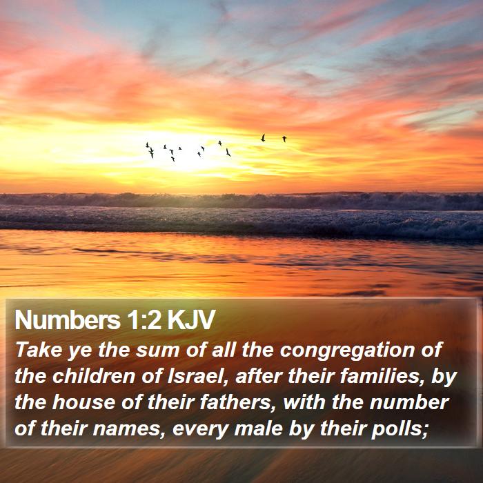 Numbers 1:2 KJV Bible Study