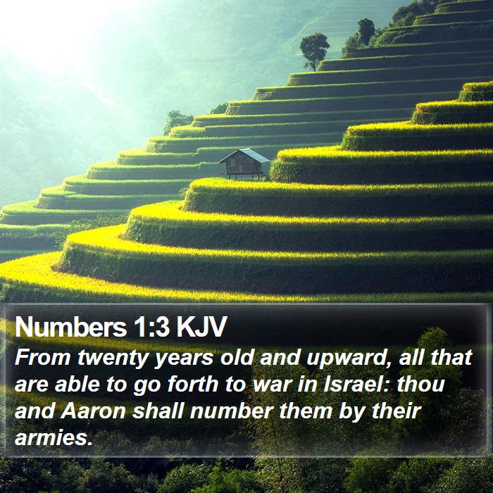 Numbers 1:3 KJV Bible Study