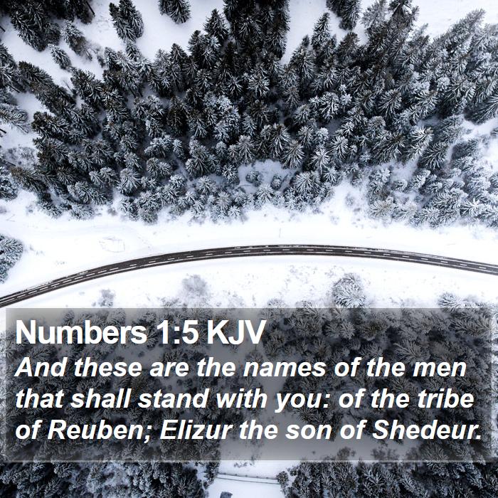 Numbers 1:5 KJV Bible Study