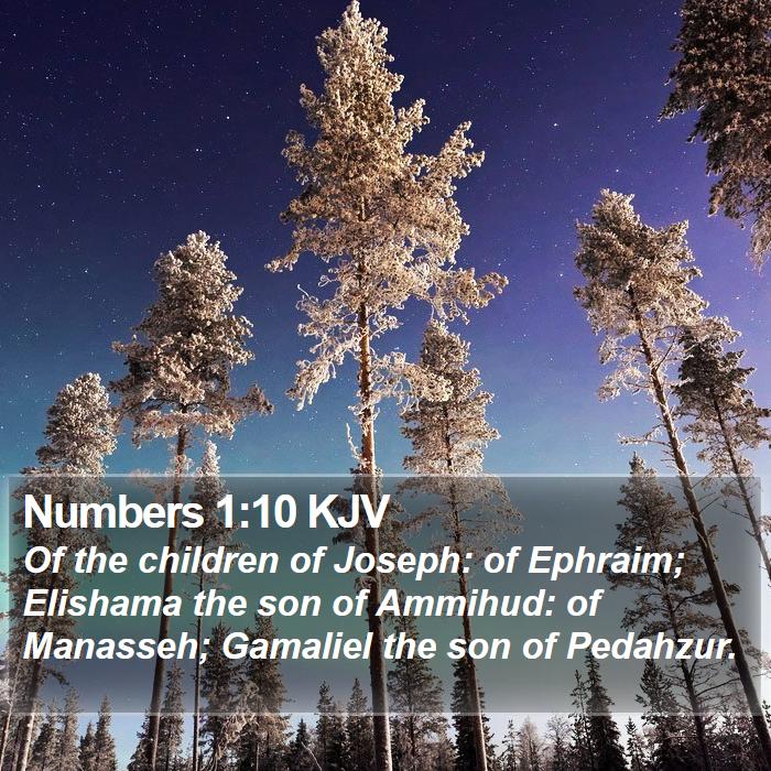 Numbers 1:10 KJV Bible Study