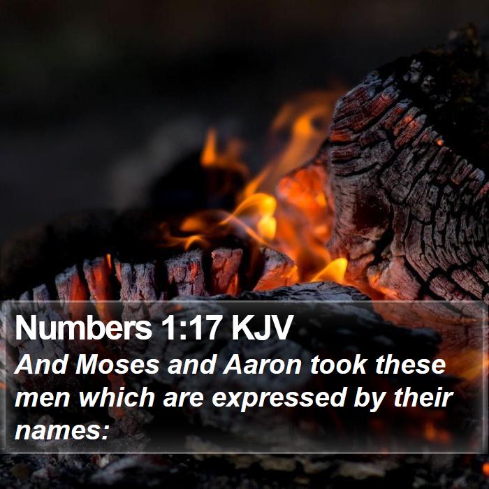 Numbers 1:17 KJV Bible Study