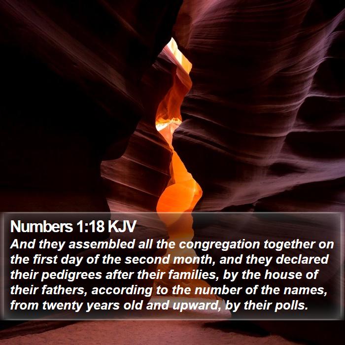 Numbers 1:18 KJV Bible Study