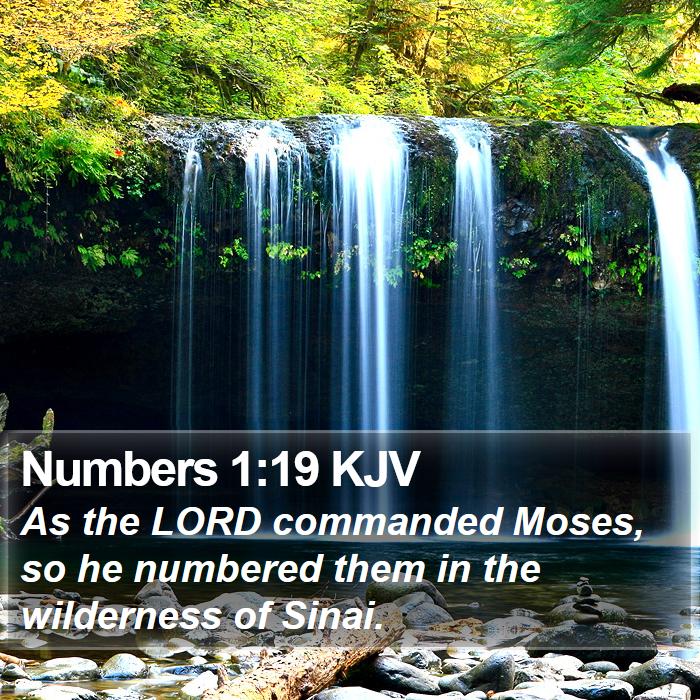 Numbers 1:19 KJV Bible Study