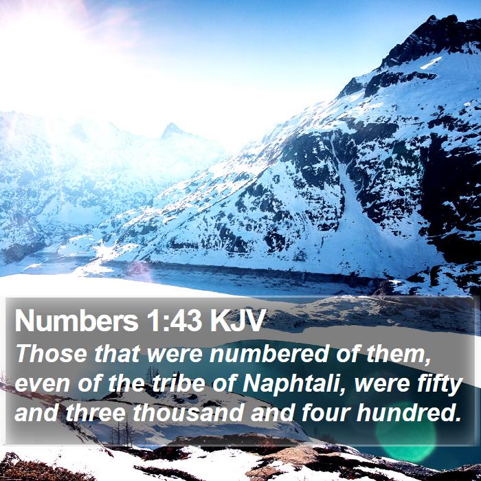 Numbers 1:43 KJV Bible Study