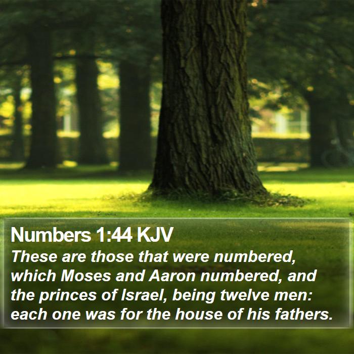 Numbers 1:44 KJV Bible Study