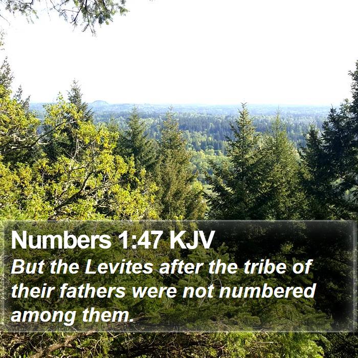 Numbers 1:47 KJV Bible Study