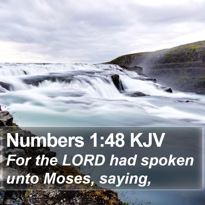 Numbers 1:48 KJV Bible Study