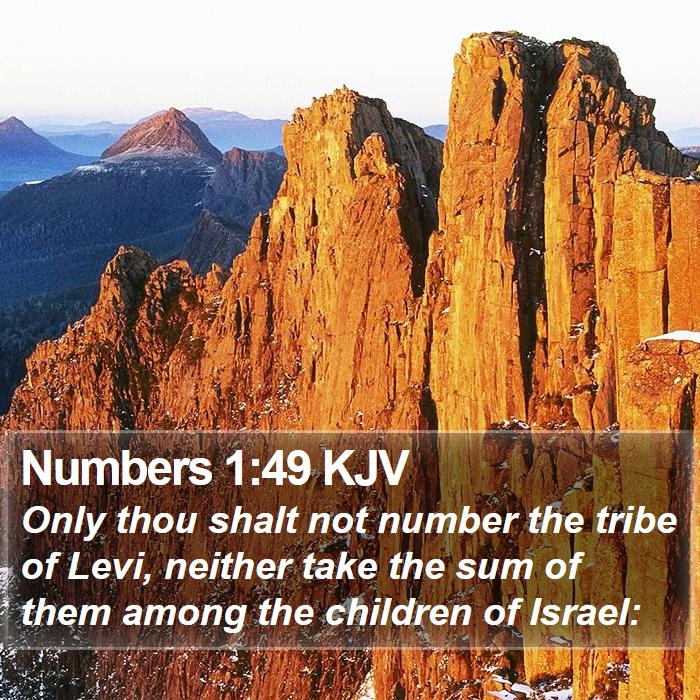 Numbers 1:49 KJV Bible Study