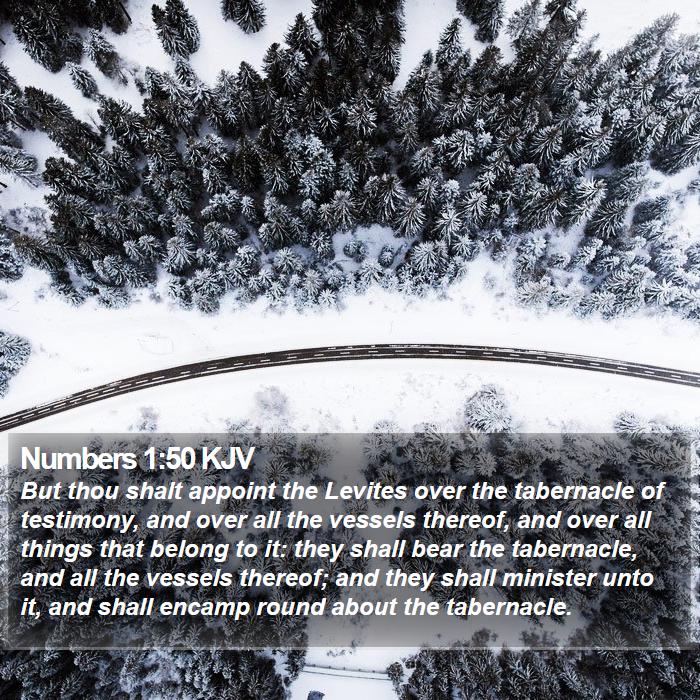 Numbers 1:50 KJV Bible Study