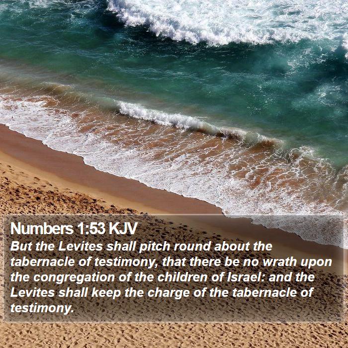 Numbers 1:53 KJV Bible Study