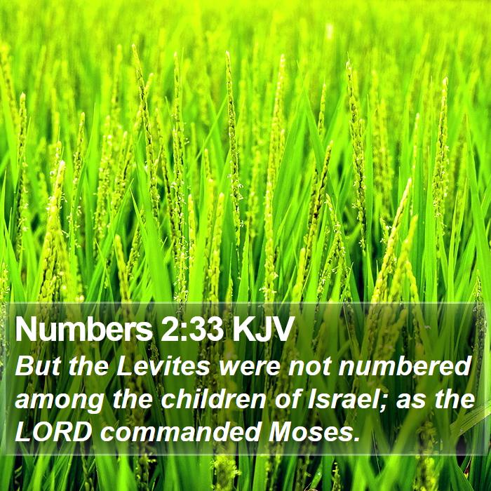 Numbers 2:33 KJV Bible Study