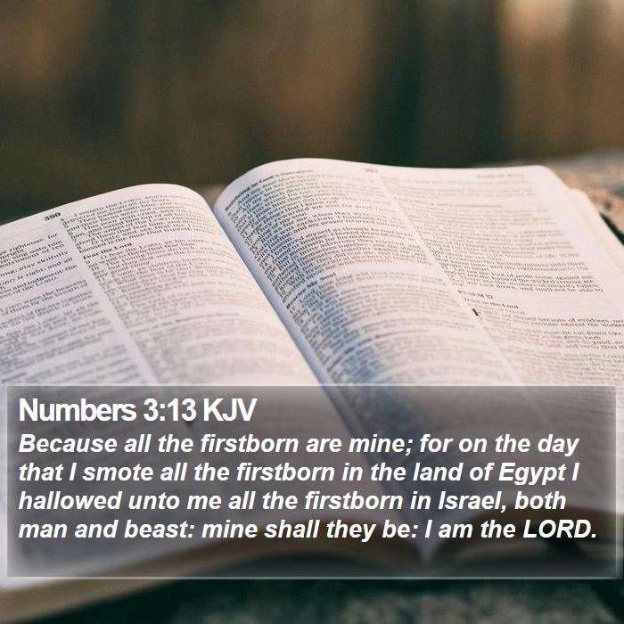 Numbers 3:13 KJV Bible Study