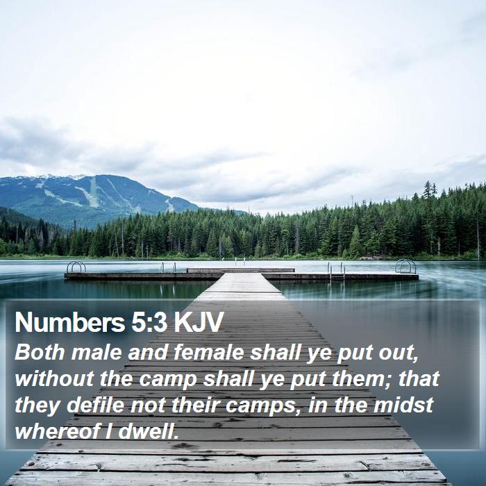 Numbers 5:3 KJV Bible Study