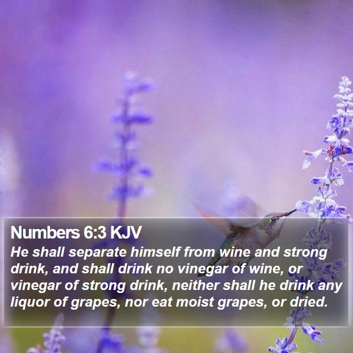 Numbers 6:3 KJV Bible Study