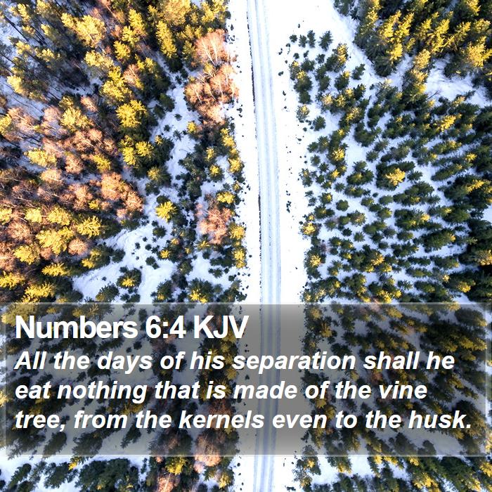 Numbers 6:4 KJV Bible Study