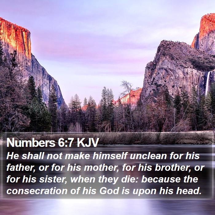 Numbers 6:7 KJV Bible Study